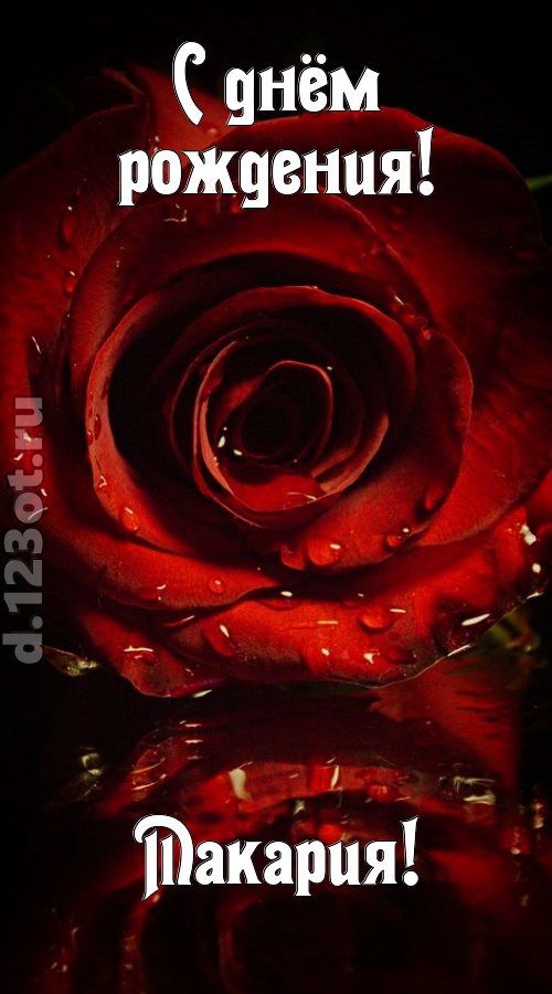 недоступная открытка с днём рождения макария, скачать онлайн бесплатно на iphone для вацап, поздравление макария