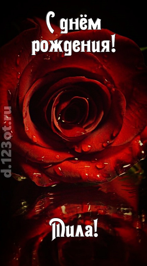 недоступная открытка с днём рождения мила, скачать онлайн бесплатно на iphone для вацап, поздравление мила