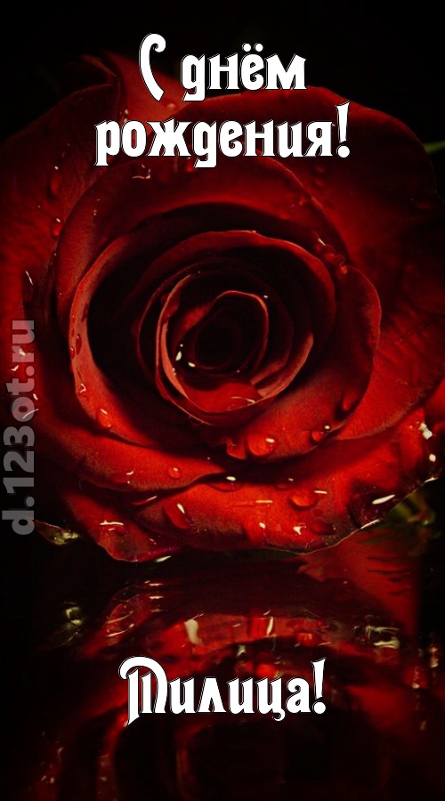 недоступная открытка с днём рождения милица, скачать онлайн бесплатно на iphone для вацап, поздравление милица