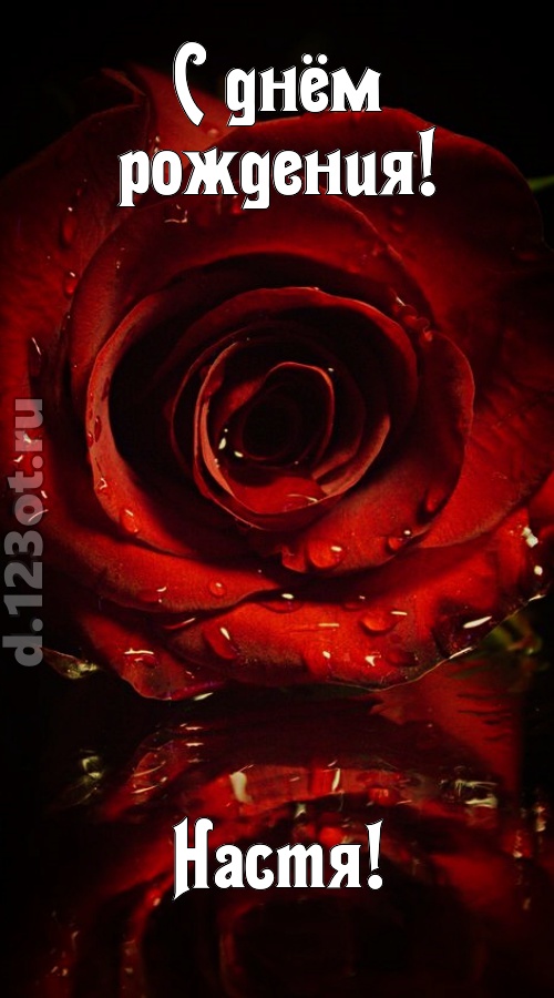 недоступная открытка с днём рождения настя, скачать онлайн бесплатно на iphone для вацап, поздравление настя