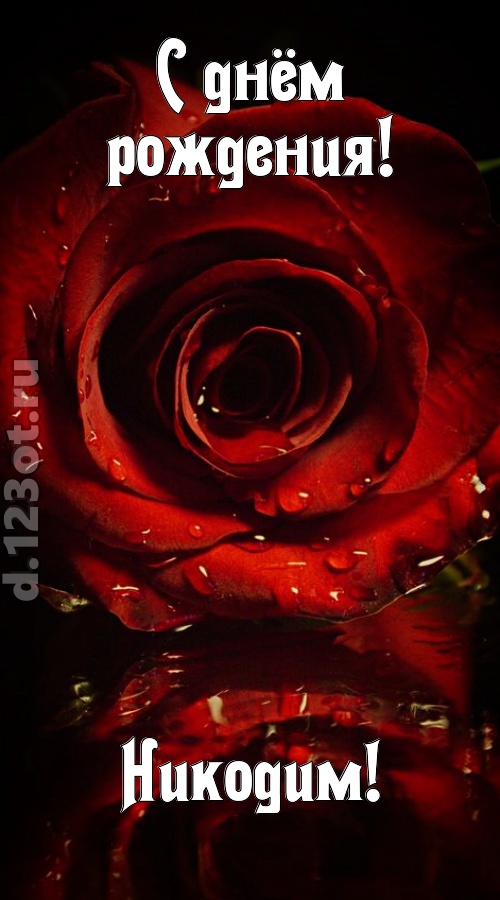 недоступная открытка с днём рождения никодим, скачать онлайн бесплатно на iphone для вацап, поздравление никодим