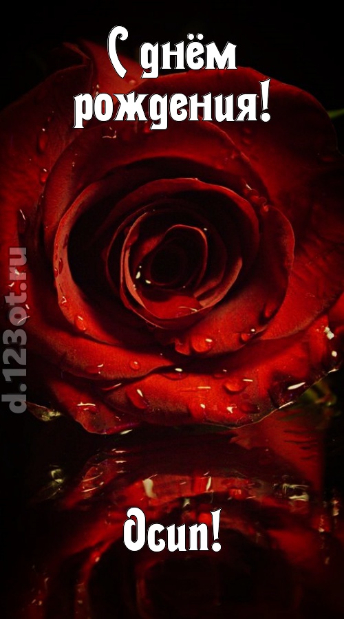 недоступная открытка с днём рождения осип, скачать онлайн бесплатно на iphone для вацап, поздравление осип