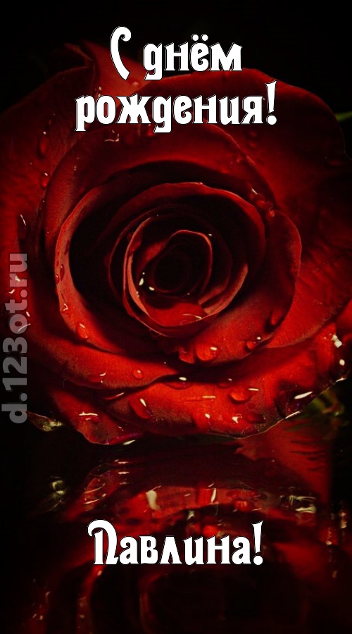 недоступная открытка с днём рождения павлина, скачать онлайн бесплатно на iphone для вацап, поздравление павлина