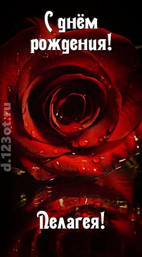 недоступная открытка с днём рождения пелагея, скачать онлайн бесплатно на iphone для вацап, поздравление пелагея