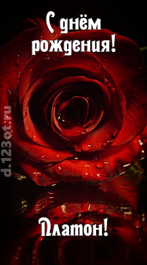 недоступная открытка с днём рождения платон, скачать онлайн бесплатно на iphone для вацап, поздравление платон