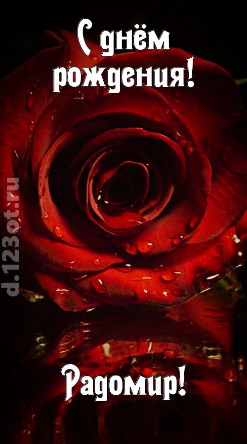 недоступная открытка с днём рождения радомир, скачать онлайн бесплатно на iphone для вацап, поздравление радомир