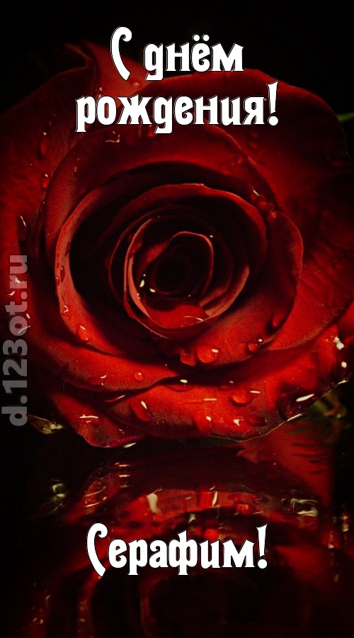 недоступная открытка с днём рождения серафим, скачать онлайн бесплатно на iphone для вацап, поздравление серафим