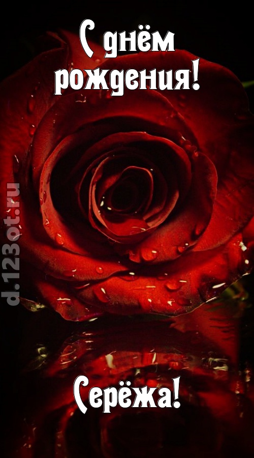 недоступная открытка с днём рождения серёжа, скачать онлайн бесплатно на iphone для вацап, поздравление серёжа