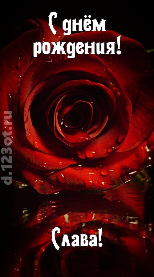 недоступная открытка с днём рождения слава, скачать онлайн бесплатно на iphone для вацап, поздравление слава
