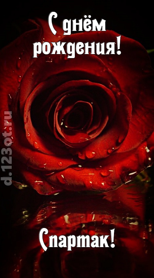 недоступная открытка с днём рождения спартак, скачать онлайн бесплатно на iphone для вацап, поздравление спартак