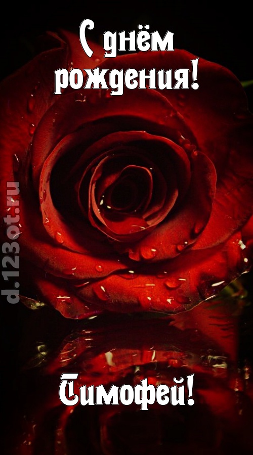 недоступная открытка с днём рождения тимофей, скачать онлайн бесплатно на iphone для вацап, поздравление тимофей