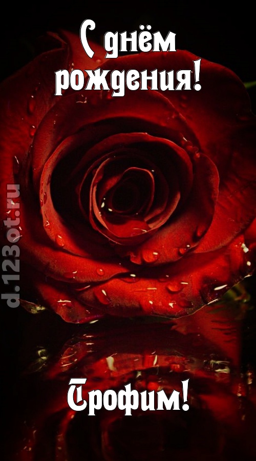 недоступная открытка с днём рождения трофим, скачать онлайн бесплатно на iphone для вацап, поздравление трофим