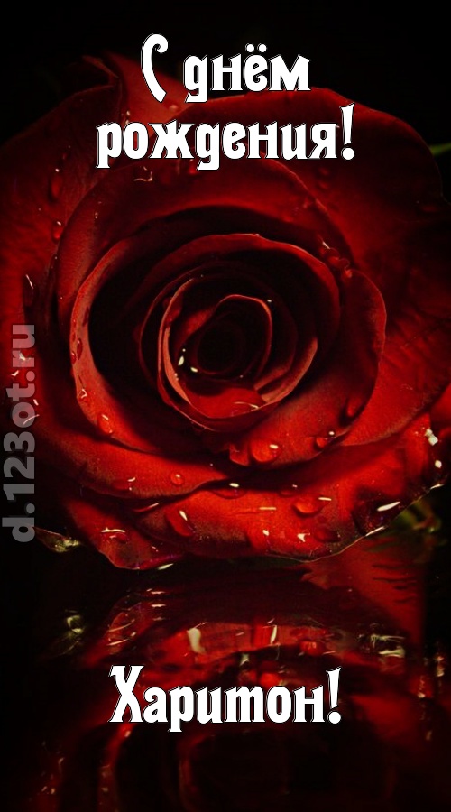 недоступная открытка с днём рождения харитон, скачать онлайн бесплатно на iphone для вацап, поздравление харитон
