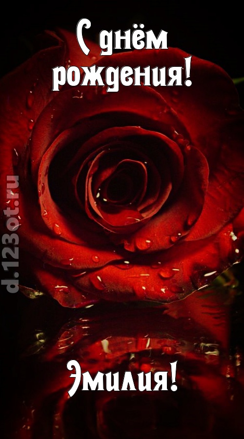недоступная открытка с днём рождения эмилия, скачать онлайн бесплатно на iphone для вацап, поздравление эмилия