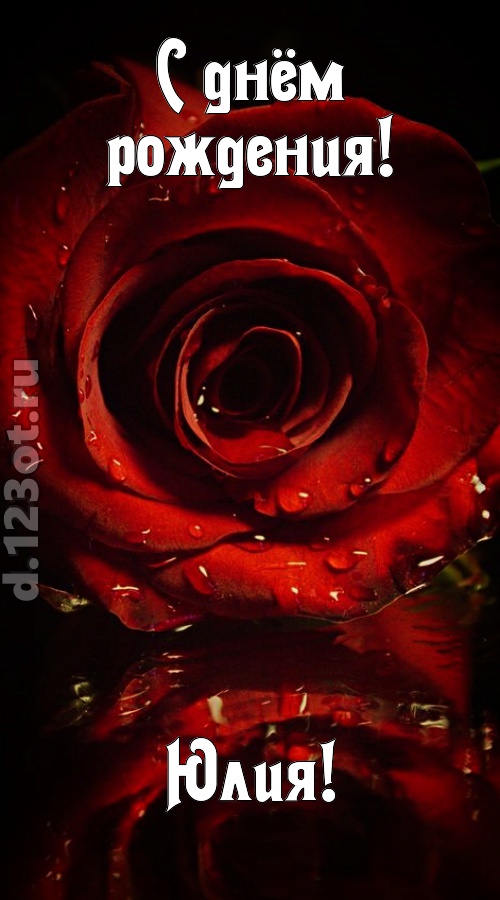 недоступная открытка с днём рождения юлия, скачать онлайн бесплатно на iphone для вацап, поздравление юлия