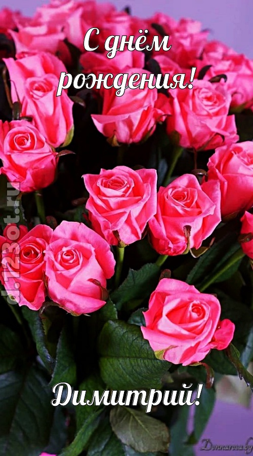 незабвенная открытка с днём рождения димитрий, скачать онлайн бесплатно на iphone для вацап, поздравление димитрий