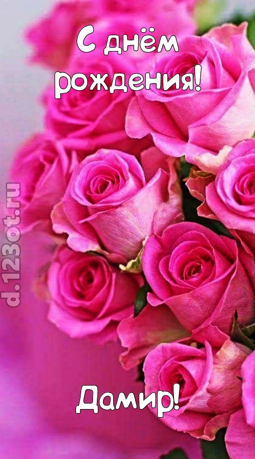 незабываемая открытка с днём рождения дамир, скачать онлайн бесплатно на iphone для вацап, поздравление дамир