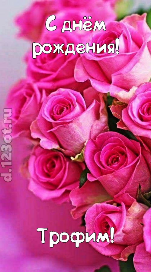 незабываемая открытка с днём рождения трофим, скачать онлайн бесплатно на iphone для вацап, поздравление трофим