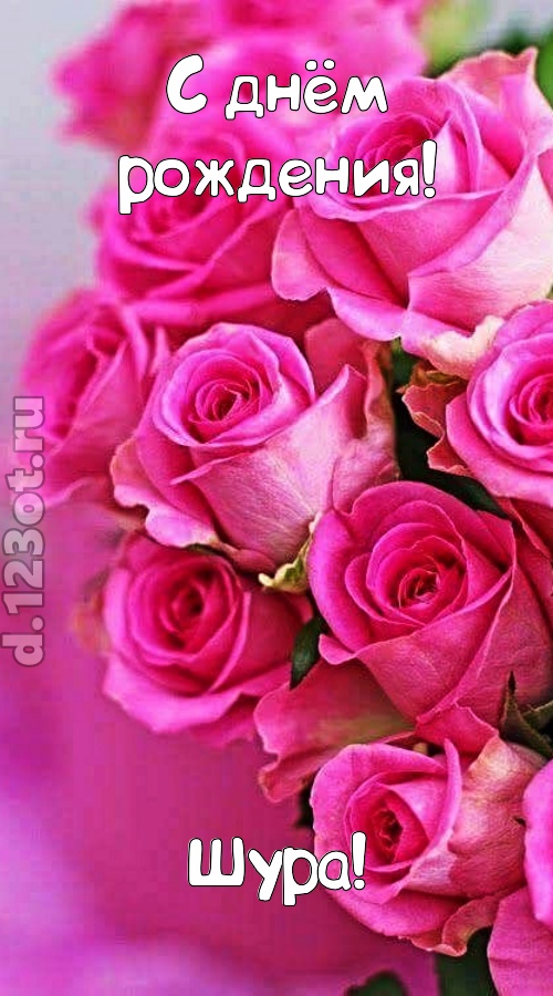 незабываемая открытка с днём рождения шура, скачать онлайн бесплатно на iphone для вацап, поздравление шура