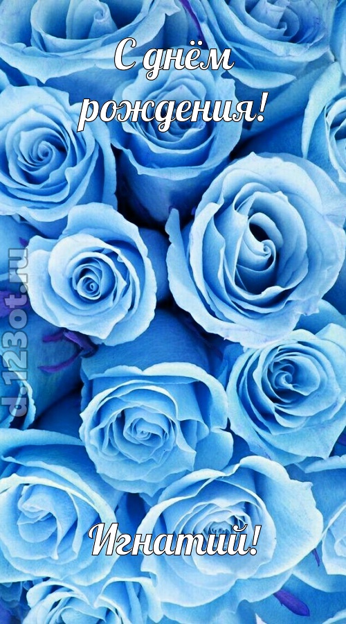 незаменимая открытка с днём рождения игнатий, скачать онлайн бесплатно на iphone для вацап, поздравление игнатий
