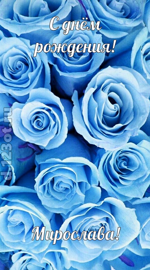 незаменимая открытка с днём рождения мирослава, скачать онлайн бесплатно на iphone для вацап, поздравление мирослава