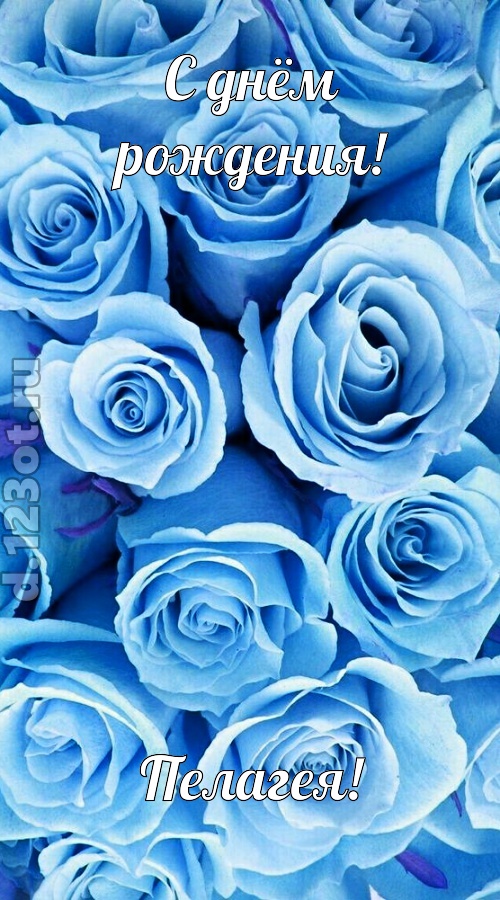 незаменимая открытка с днём рождения пелагея, скачать онлайн бесплатно на iphone для вацап, поздравление пелагея
