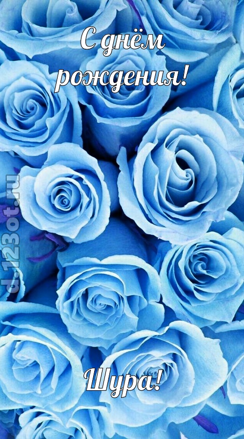 незаменимая открытка с днём рождения шура, скачать онлайн бесплатно на iphone для вацап, поздравление шура