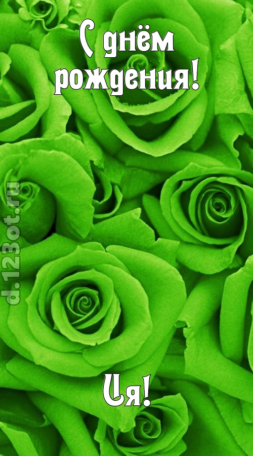 незаурядная открытка с днём рождения ия, скачать онлайн бесплатно на iphone для вацап, поздравление ия