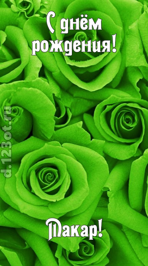 незаурядная открытка с днём рождения макар, скачать онлайн бесплатно на iphone для вацап, поздравление макар