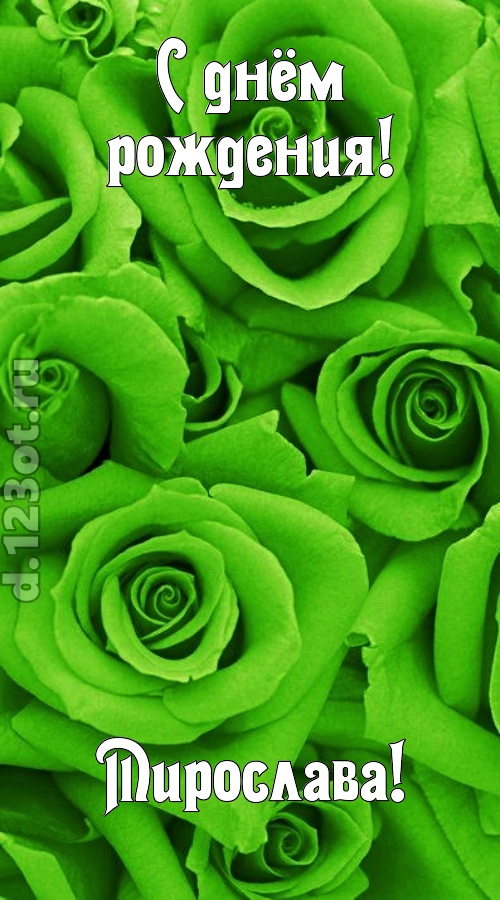 незаурядная открытка с днём рождения мирослава, скачать онлайн бесплатно на iphone для вацап, поздравление мирослава