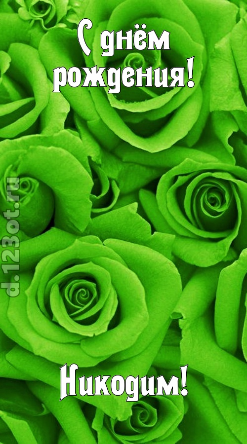 незаурядная открытка с днём рождения никодим, скачать онлайн бесплатно на iphone для вацап, поздравление никодим