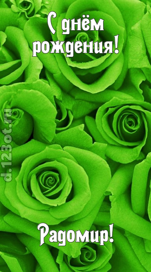 незаурядная открытка с днём рождения радомир, скачать онлайн бесплатно на iphone для вацап, поздравление радомир