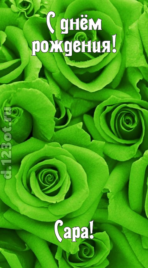 незаурядная открытка с днём рождения сара, скачать онлайн бесплатно на iphone для вацап, поздравление сара