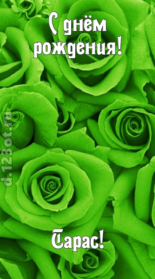 незаурядная открытка с днём рождения тарас, скачать онлайн бесплатно на iphone для вацап, поздравление тарас