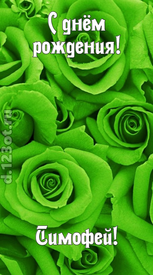 незаурядная открытка с днём рождения тимофей, скачать онлайн бесплатно на iphone для вацап, поздравление тимофей