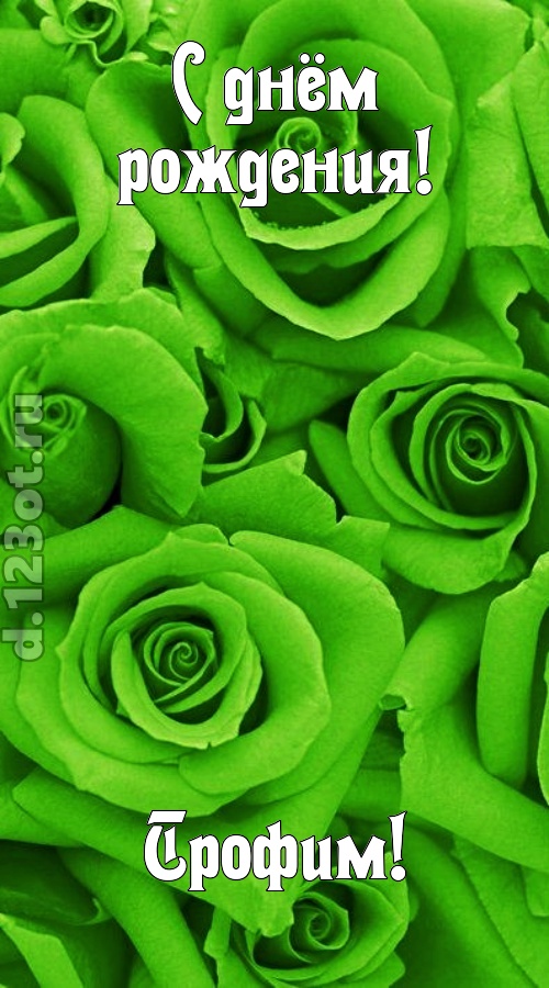 незаурядная открытка с днём рождения трофим, скачать онлайн бесплатно на iphone для вацап, поздравление трофим