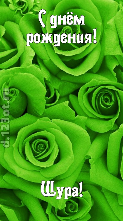 незаурядная открытка с днём рождения шура, скачать онлайн бесплатно на iphone для вацап, поздравление шура