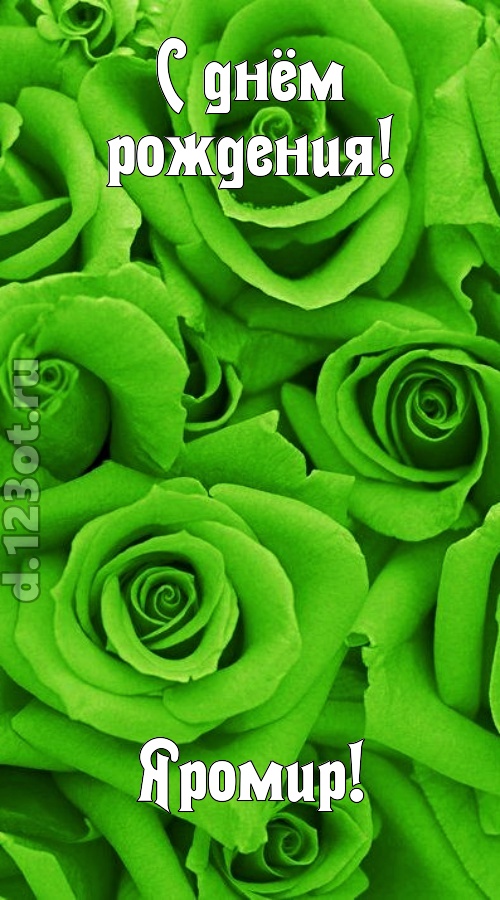 незаурядная открытка с днём рождения яромир, скачать онлайн бесплатно на iphone для вацап, поздравление яромир