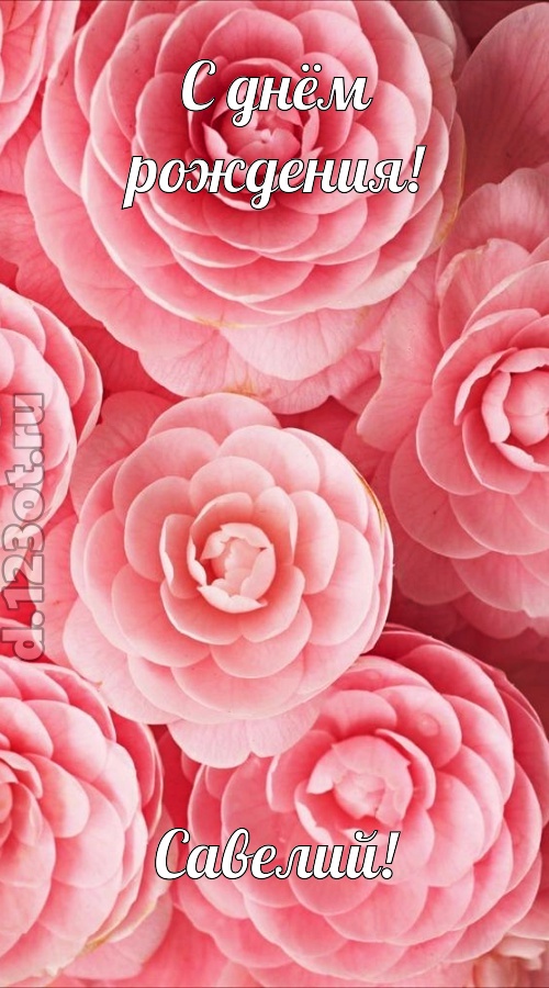 ненаглядная открытка с днём рождения савелий, скачать онлайн бесплатно на iphone для вацап, поздравление савелий