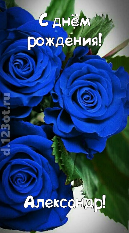 необходимая открытка с днём рождения александр, скачать онлайн бесплатно на iphone для вацап, поздравление александр