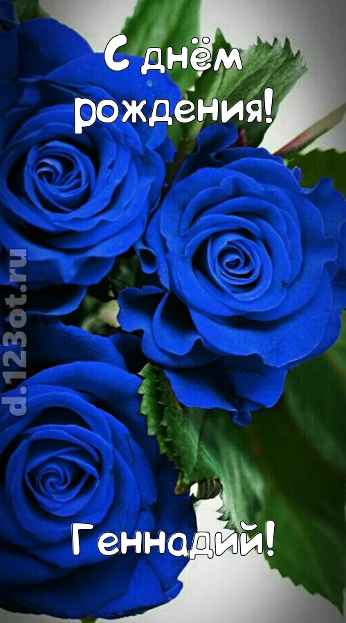 необходимая открытка с днём рождения геннадий, скачать онлайн бесплатно на iphone для вацап, поздравление геннадий