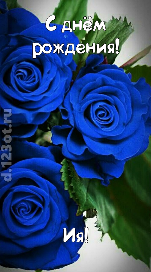 необходимая открытка с днём рождения ия, скачать онлайн бесплатно на iphone для вацап, поздравление ия
