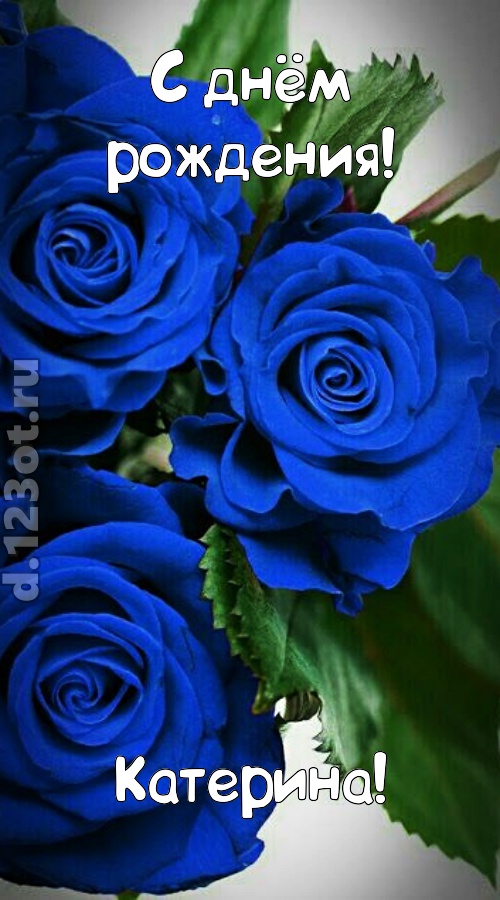 необходимая открытка с днём рождения катерина, скачать онлайн бесплатно на iphone для вацап, поздравление катерина