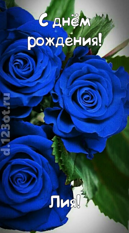 необходимая открытка с днём рождения лия, скачать онлайн бесплатно на iphone для вацап, поздравление лия