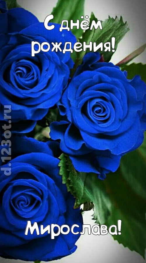 необходимая открытка с днём рождения мирослава, скачать онлайн бесплатно на iphone для вацап, поздравление мирослава