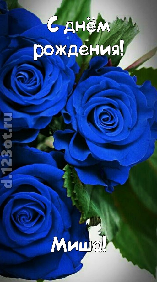 необходимая открытка с днём рождения миша, скачать онлайн бесплатно на iphone для вацап, поздравление миша