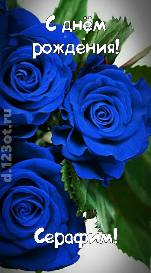 необходимая открытка с днём рождения серафим, скачать онлайн бесплатно на iphone для вацап, поздравление серафим