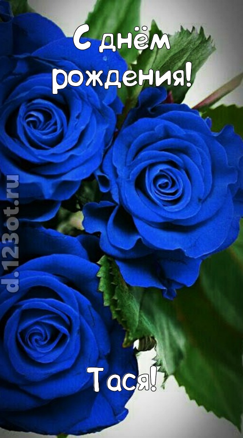 необходимая открытка с днём рождения тася, скачать онлайн бесплатно на iphone для вацап, поздравление тася