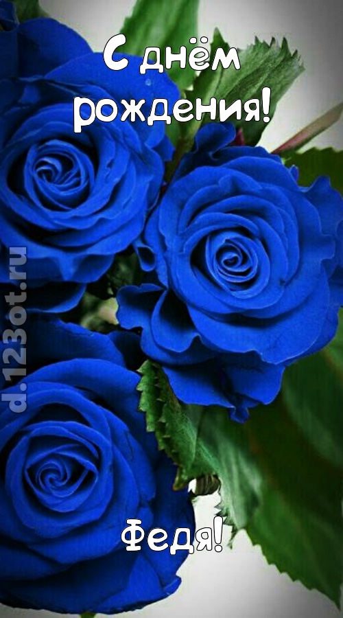необходимая открытка с днём рождения федя, скачать онлайн бесплатно на iphone для вацап, поздравление федя