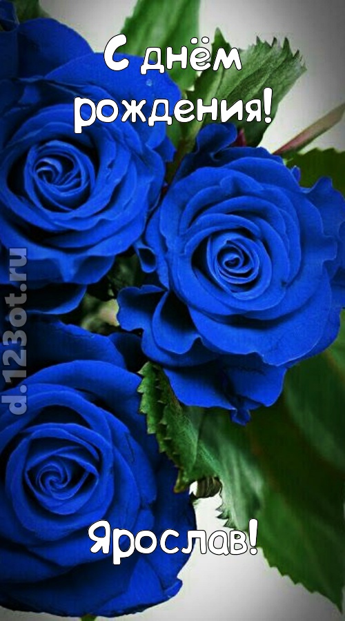 необходимая открытка с днём рождения ярослав, скачать онлайн бесплатно на iphone для вацап, поздравление ярослав